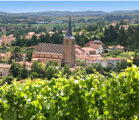 Randonnées et vins d’AOC dans la région de Roanne